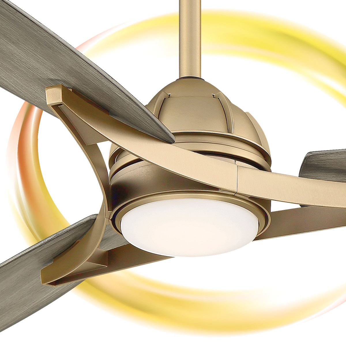 Ceiling Fan That Shine